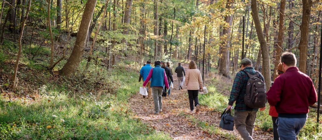 Monticello | Black History Month Archaeology Open House