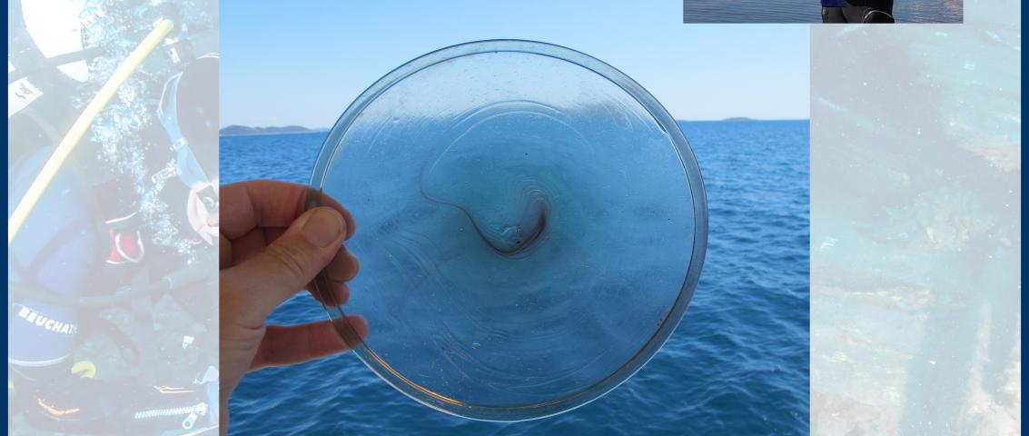 [AIA] Shipwreck at Gnalić-Gagliana Grossa (1569-1583)