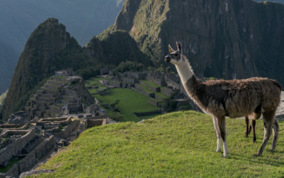 Using Archaeology to Reveal the Intellectual Contributions of the Enslaved