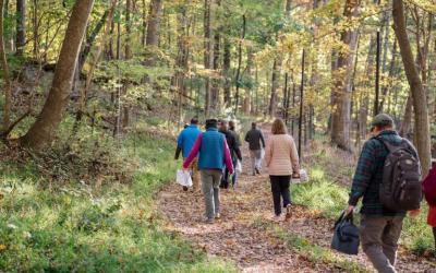 Monticello | Black History Month Archaeology Open House