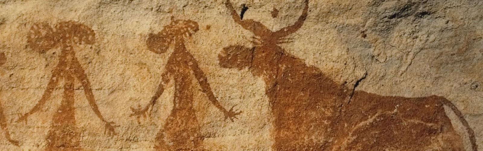 Degree Requirements and DMP