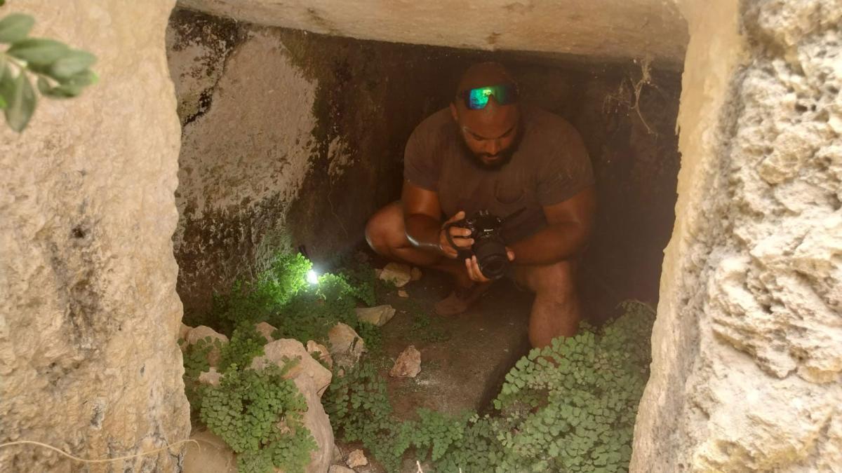 Brown Bag Double Feature